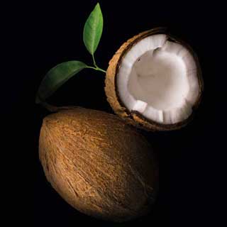 Coconut