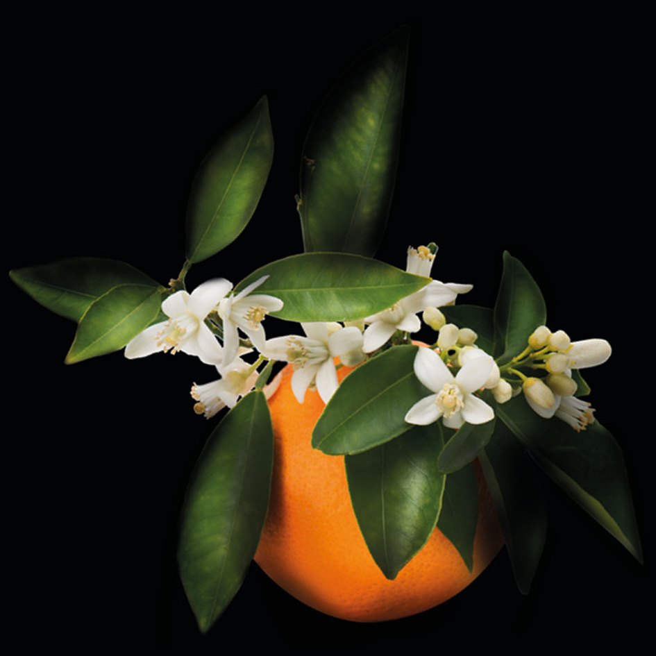 Neroli
